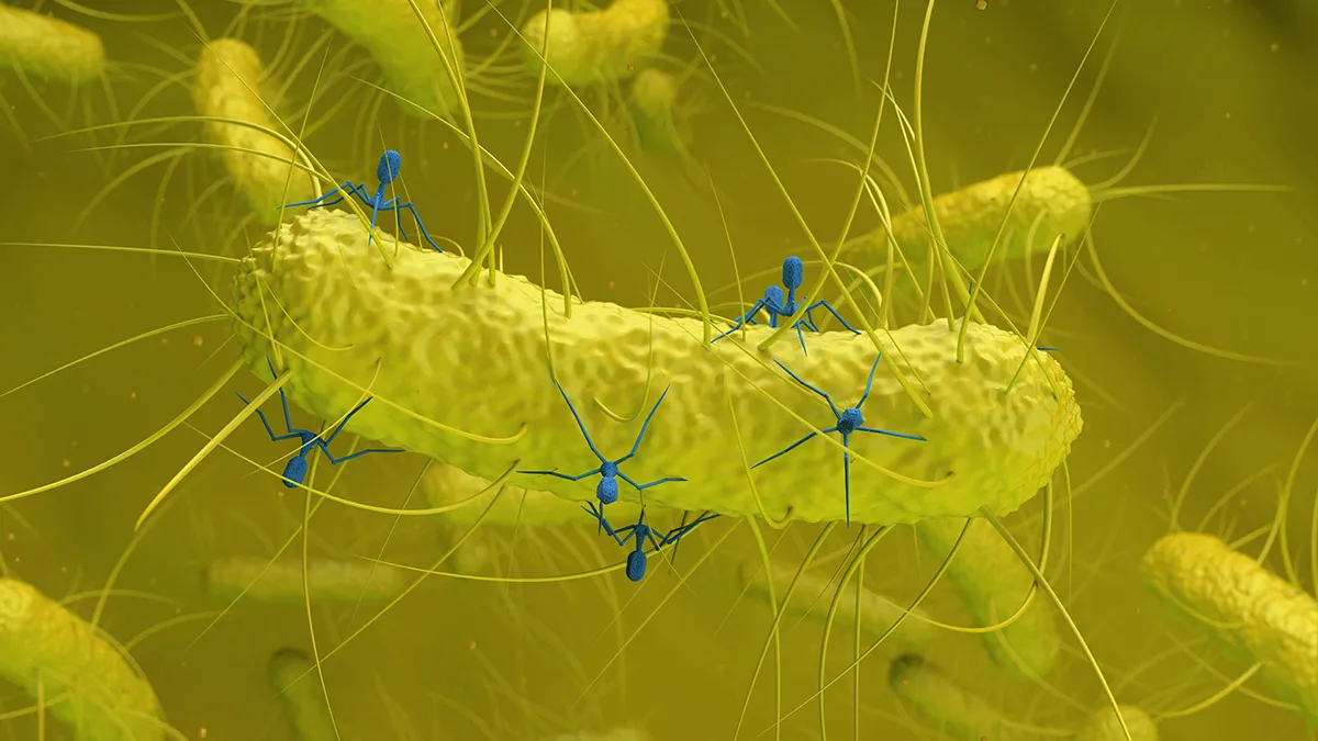 Nieuwe inzichten in darmbacteriën en virussen bij colorectale kanker